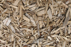 biomass boilers Porton