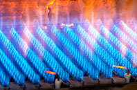Porton gas fired boilers